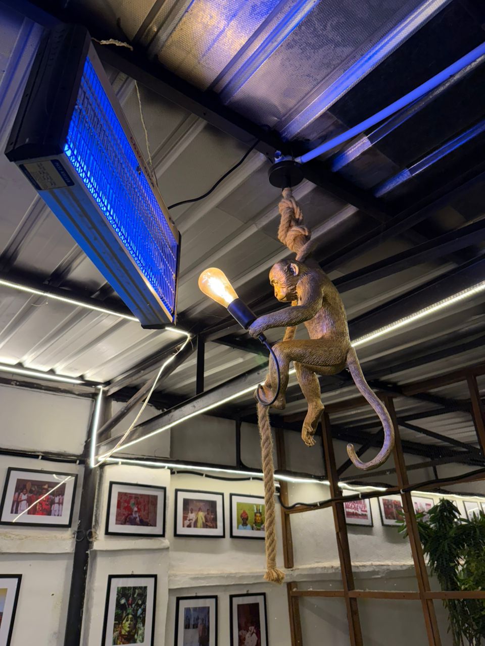 Aesthetic lamp holders